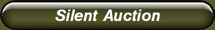 /bigfest/auction.html